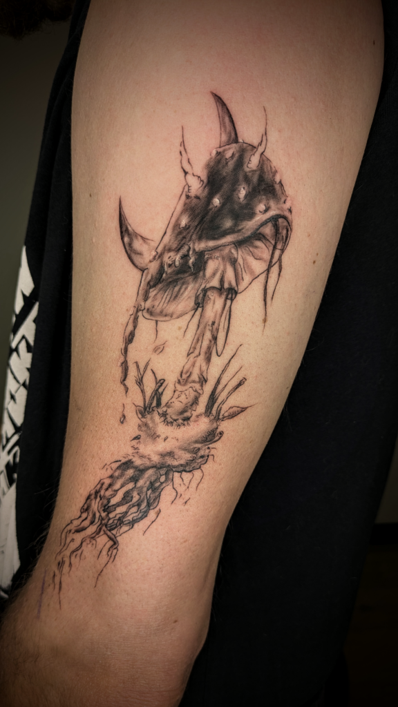 pxl 20250417 141322259 2